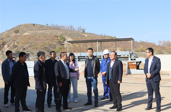 黨委書記、董事長劉衛(wèi)東前往大興場站進(jìn)行項(xiàng)目調(diào)研.jpg